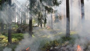 Drone Four-Sensor Gimbal Payload Forest Fire Prevention Case Study: Intelligent Prevention and Control Solution for Forested Areas in California, USA